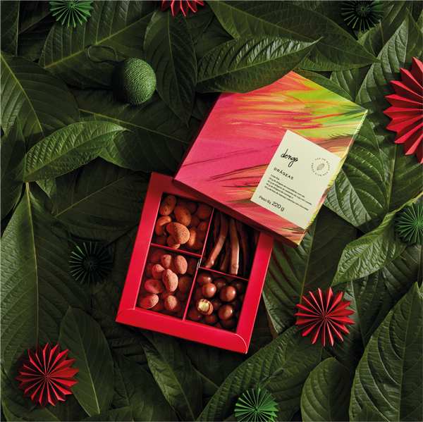 coffret-drageas&fruits-enrobées-chocolats-fraises-cupuacu-noix-de-cajou-dengo