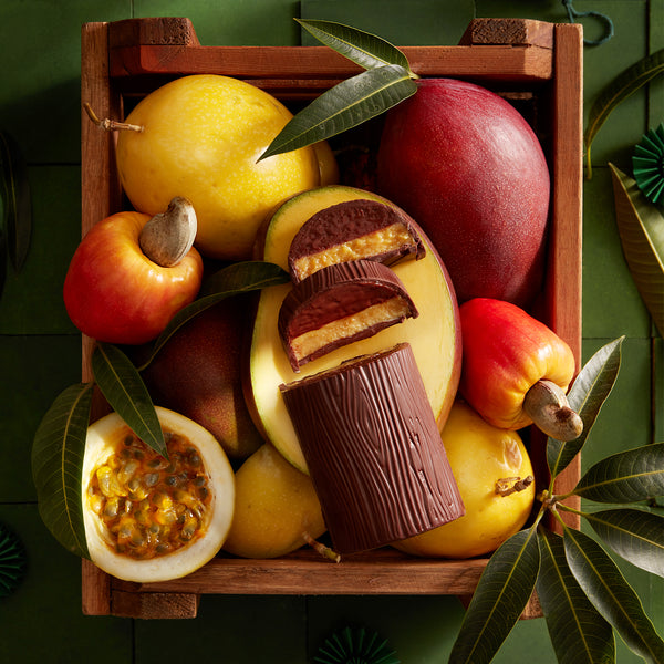 Tronco-tropical-cajou-mangue-fruit-de-la-passion-Chocolat-Dengo-Brésil-Saveurs-dessert-Noël